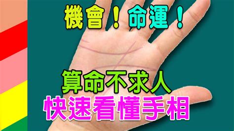 針線算命|【算命不求人】快速看懂手相